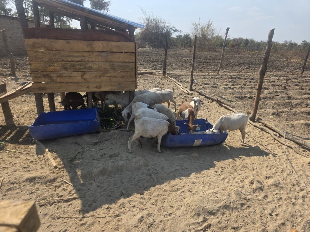 Getting started on fieldwork